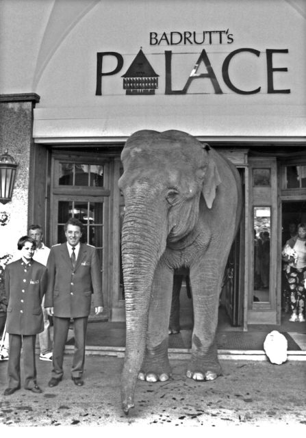 BPH Historie Elefant (c) Badrutt's Palace Hotel